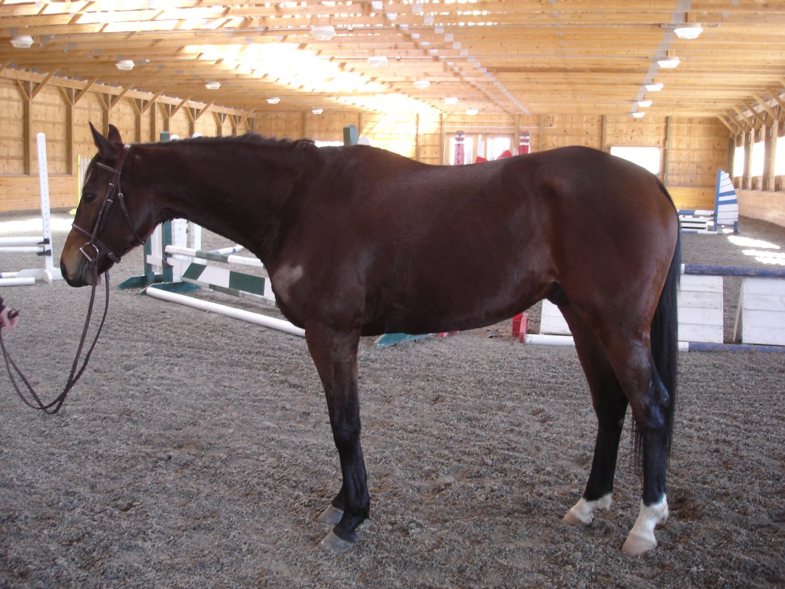 Grady indoor